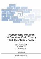 Poul Henrik Damgaard, H. H¿ffel, Hüffel, H Hüffel, H. Hüffel, A Rosenblum... - Probabilistic Methods in Quantum Field Theory and Quantum Gravity