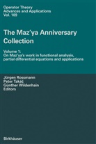 Jürgen Rossmann, Pete Takac, Peter Takac, Günther Wildenhain, Günther                    10001387402 Wildenhain - The Maz'ya Anniversary Collection