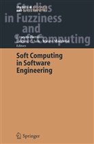 Ernest Damiani, Ernesto Damiani, Madravio, Madravio, Mauro Madravio - Soft Computing in Software Engineering