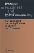 Rafik Azi Aliev, Rafik Aziz Aliev, Rashad Aliev, Rashad Rafik Aliev, Bija Fazlollahi, Bijan Fazlollahi - Soft Computing and its Applications in Business and Economics