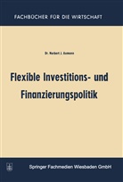 Norbert Joss Axmann - Flexible Investitions- und Finanzierungspolitik
