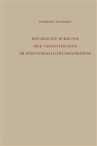 Herbert Schmidt - Räumliche Wirkung der Investitionen im Industrialisierungsprozess