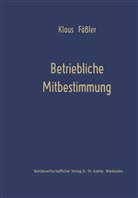 Klaus Fäßler - Betriebliche Mitbestimmung