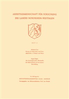 Abraham Esau - Ortung mit elektrischen und Ultraschallwellen in Technik und Natur. Die ferromagnetischen Werkstoffe der Elektrotechnik und ihre neueste Entwicklung