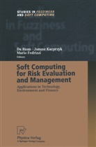 Fedrizzi, Fedrizzi, Mario Fedrizzi, D Ruan, Da Ruan - Soft Computing for Risk Evaluation and Management