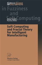 Osca Castillo, Oscar Castillo, Patricia Melin - Soft Computing and Fractal Theory for Intelligent Manufacturing