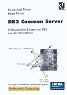 Beate Pürner, Heinz-Axe Pürner, Heinz-Axel Pürner - DB2 Common Server