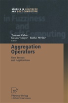 Tomasa Calvo, Gaspa Mayor, Gaspar Mayor, Radko Mesiar - Aggregation Operators