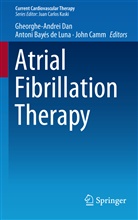 Anton Bayés de Luna, Antoni Bayés de Luna, John Camm, G. Andrei Dan, Gheorghe-Andrei Dan, A. Bayes De Luna - Atrial Fibrillation Therapy