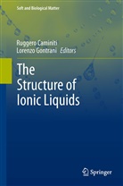 Rugger Caminiti, Ruggero Caminiti, Gontrani, Gontrani, Lorenzo Gontrani - The Structure of Ionic Liquids