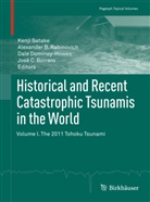 Alexande B Rabinovich, Alexander B Rabinovich, Jose Borrero, José C. Borrero, Dale Dominey-Howes, Dale Dominey-Howes et al... - Historical and Recent Catastrophic Tsunamis in the World