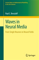Paul C Bressloff, Paul C. Bressloff - Waves in Neural Media
