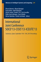 Ajith Abraham, Brun Baruque, Bruno Baruque, Pablo Garcia Bringas, Pablo García Bringas, Andre C. P. L. F. Carvalho... - International Joint Conference SOCO 13-CISIS 13-ICEUTE 13