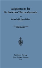 Hugo Richter - Aufgaben aus der Technischen Thermodynamik