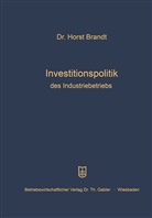 Horst Brandt - Investitionspolitik des Industriebetriebs