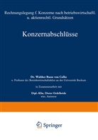 Walther Busse von Colbe - Konzernabschlüsse