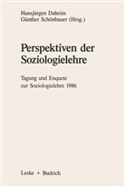 Hansjürge Daheim, Hansjürgen Daheim - Perspektiven der Soziologielehre