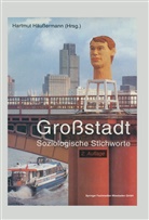 Hartmu Häussermann, Hartmut Häußermann - Großstadt