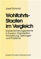 Josef Schmid - Wohlfahrtsstaaten im Vergleich