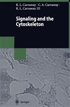 Carraway, Coralie A Carraway, Coralie A C Carraway, Coralie A. C. Carraway, Kermit Carraway, Kermit L Carraway... - Signaling and the Cytoskeleton