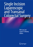 Conor P Delaney, Conor P. Delaney, Wai Lun Law, Wa Lun Law, Wai Lun Law, P Delaney... - Single Incision Laparoscopic and Transanal Colorectal Surgery