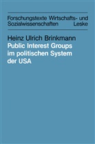 Heinz Ulrich Brinkmann - Public Interest Groups im politischen System der USA