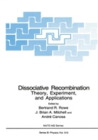 Brian A Mitchell, J Brian A Mitchell, André Canosa, J. Brian A. Mitchell, Bertrand R. Rowe - Dissociative Recombination