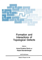 Brandenberger, Brandenberger, Robert Brandenberger, Anne-Christin Davis, Anne-Christine Davis - Formation and Interactions of Topological Defects