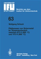 W Schaub, W. Schaub - Fließpressen von Sintermetall im Temperaturbereich zwischen 873 K (600 °C) und 1173 K (900 °C)