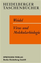 W Weidel, W. Weidel - Virus und Molekularbiologie