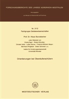 Klaus Sturzebecher - Orientierungen bei Oberstufenschülern