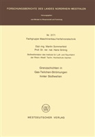 Martin Sommerfeld - Grenzschichten in Gas-Teilchen-Strömungen hinter Stoßwellen