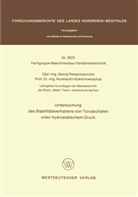 Georg Panajotopoulos - Untersuchung des Stabilitätsverhaltens von Torusschalen unter hydrostatischem Druck