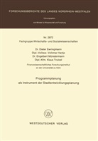 Dieter Ewringmann - Programmplanung als Instrument der Stadtentwicklungsplanung