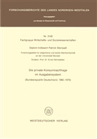 Patrick Steinpass - Die private Konsumnachfrage im Ausgabensystem