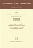 Adalbert Schlag - Möglichkeiten und Grenzen arbeitnehmerorientierter Einflußnahme bei Einführung und Anwendung von Informationstechnologien