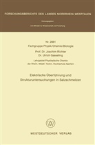 Joachim Richter - Elektrische Überführung und Strukturuntersuchungen in Salzschmelzen