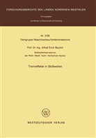 Alfred E Beylich, Alfred E. Beylich - Trenneffekte in Stoßwellen