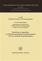 Andreas Schmitz - Entwicklung von Algorithmen zur Aufbereitung komplizierter Netzplanstrukturen für eine maschinelle Netzplandarstellung