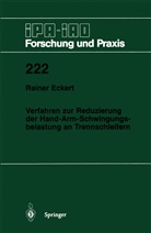 Rainer Eckert - Verfahren zur Reduzierung der Hand-Arm-Schwingungsbelastung an Trennschleifern