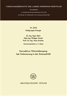 Egon Buhr - Konvektiver Wärmeübergang bei Verbrennung in der Grenzschicht