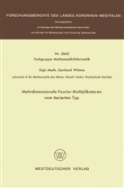 Gerhard Wilmes - Mehrdimensionale Fourier Multiplikatoren vom iterierten Typ