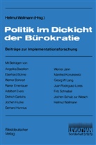 Hellmu Wollmann, Hellmut Wollmann - Politik im Dickicht der Bürokratie