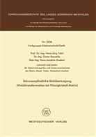 Hans Jörg Tafel - Störunempfindliche Bildübertragung