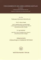 Bruno Predel - Viskosimetrische Untersuchungen an metallischen Schmelzen