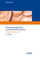 Bal, Hansjürge Bals, HansJürgen Bals, Fischer, Edmund Fischer - Finanzmanagement im öffentlichen Sektor