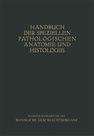 Chiari, H Chiari, H. Chiari, Hermann Chiari, Friedric Henke, Friedrich Henke... - Harnorgane Männliche Geschlechtsorgane