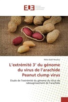Rékia Kadri Nouhou, Nouhou-R - L extremite 3 du genome du virus