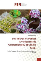 Simon Barussaud, Barussaud-s - Les micros et petites entreprises