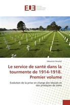 Sébastien Perrolat, Perrolat-S - Le service de sante dans la